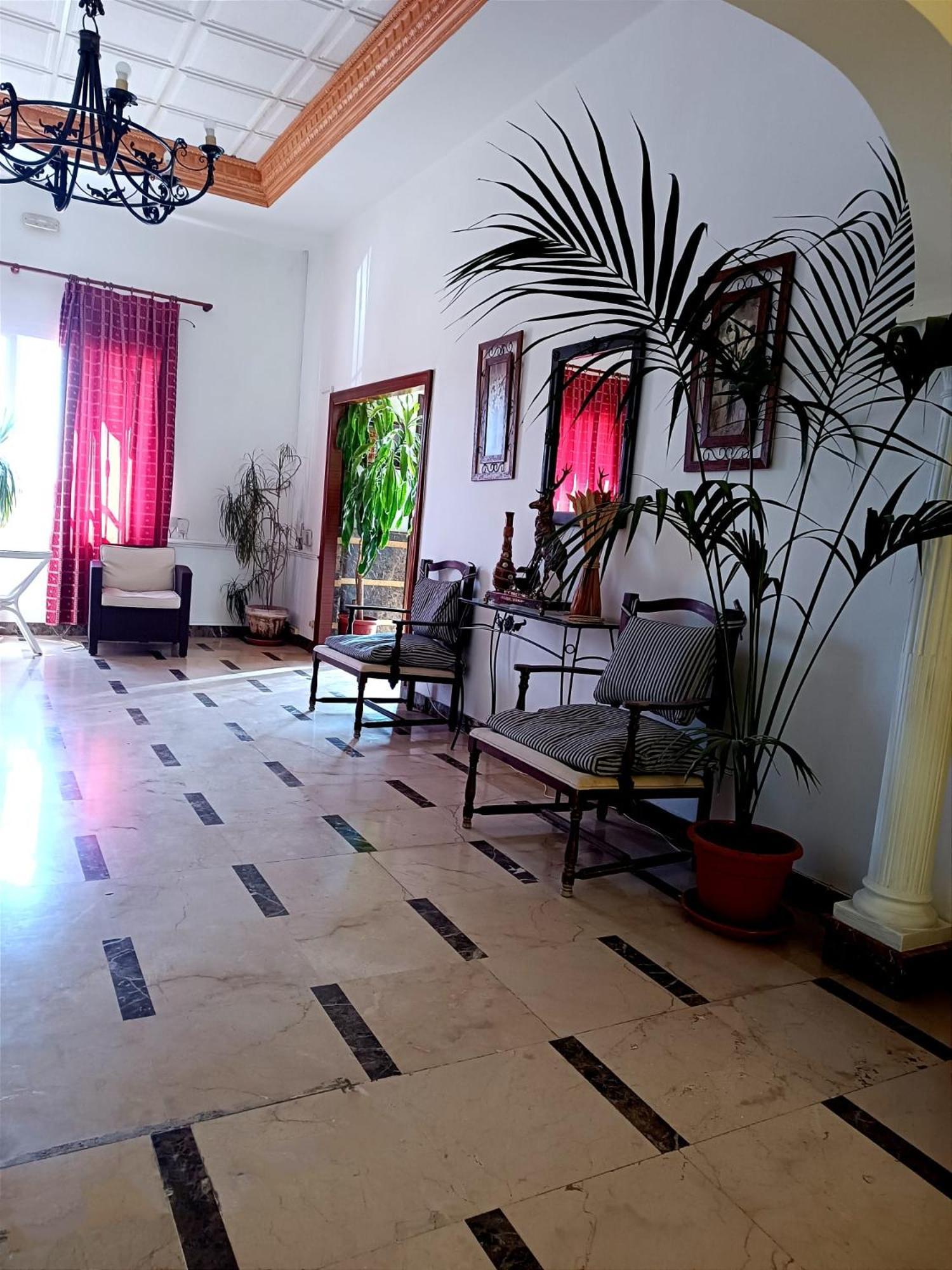 Hostal El Lirio Bollullos Par del Condado Exterior foto